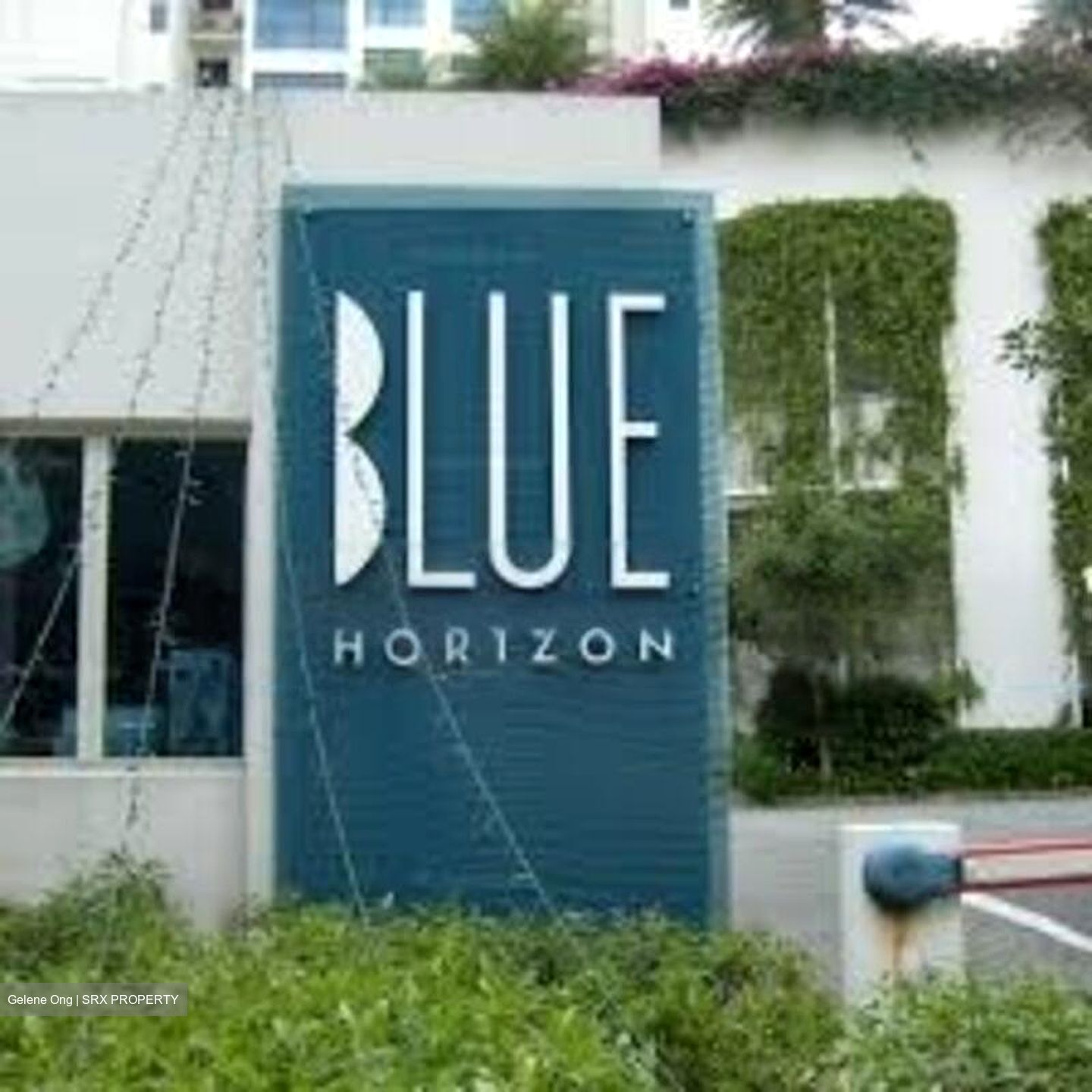 Blue Horizon (D5), Condominium #474098521